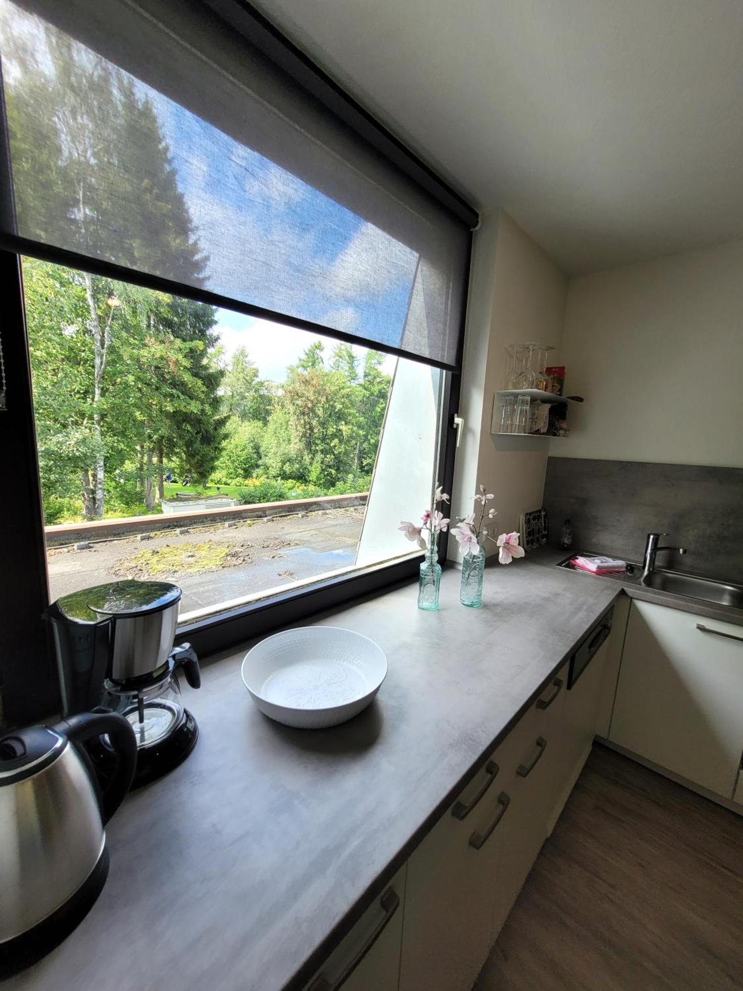 Winterberg Appartement 21097 エクステリア 写真