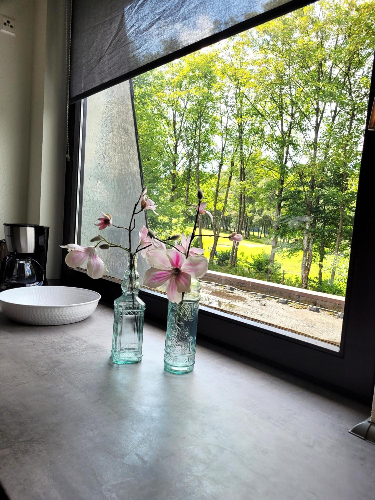 Winterberg Appartement 21097 エクステリア 写真